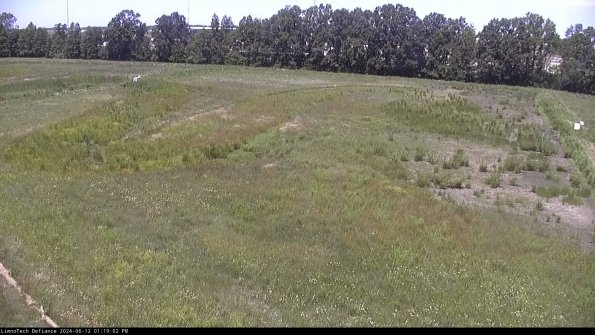 Cell 3_24-06-12_13-19-03-33