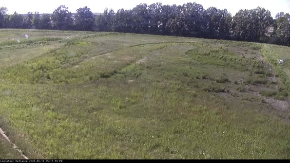 Cell 3_24-06-12_17-13-30-59