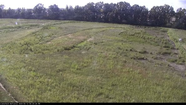 Cell 3_24-06-12_18-20-28-52