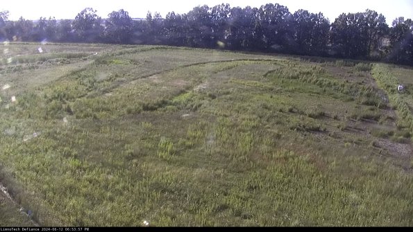 Cell 3_24-06-12_18-53-58-34