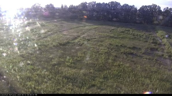 Cell 3_24-06-12_20-00-58-35