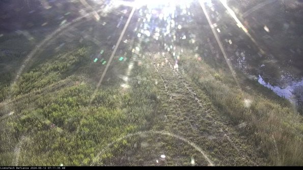 Cell 4 to Basin_24-06-12_07-11-36-37