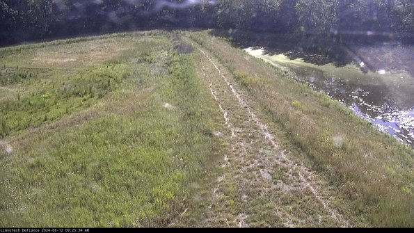 Cell 4 to Basin_24-06-12_09-25-35-35