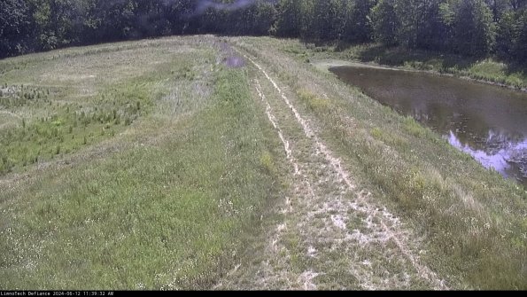 Cell 4 to Basin_24-06-12_11-39-33-33