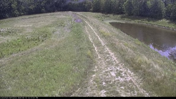 Cell 4 to Basin_24-06-12_12-13-02-31