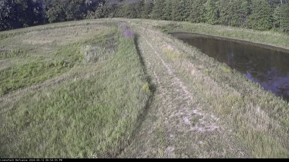 Cell 4 to Basin_24-06-12_18-54-56-33