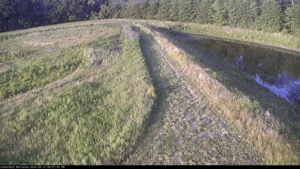 Cell 4 to Basin_24-06-12_20-01-56-34