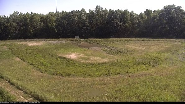 Cell 4_24-06-12_09-58-35-34