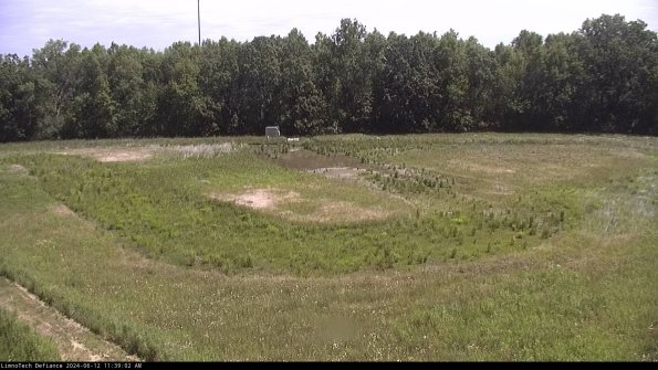 Cell 4_24-06-12_11-39-03-33