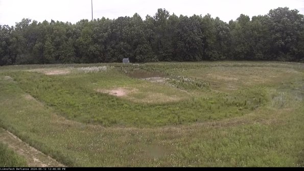 Cell 4_24-06-12_12-46-01-31