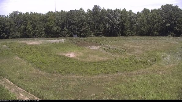 Cell 4_24-06-12_13-19-31-32