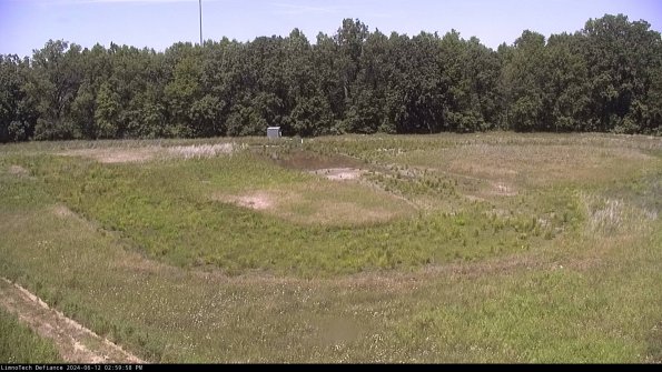 Cell 4_24-06-12_14-59-59-35