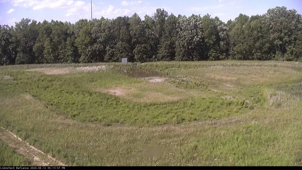 Cell 4_24-06-12_17-13-58-32