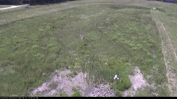 Cell 1_24-06-14_12-45-24-33