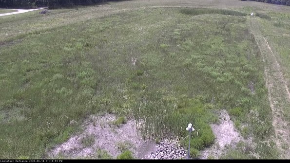 Cell 1_24-06-14_13-18-54-35