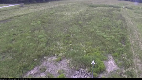 Cell 1_24-06-14_13-52-23-33