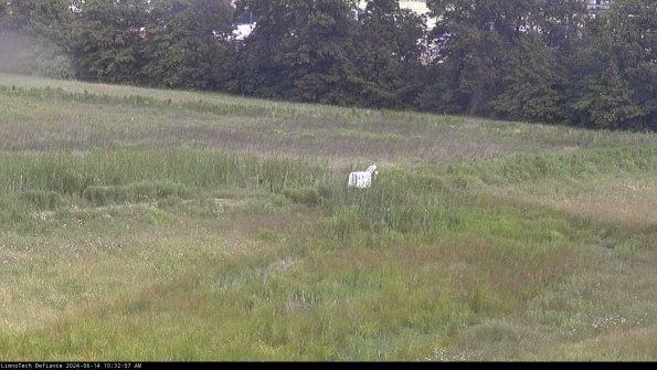 Cell 2 to 3_24-06-14_10-32-07-46