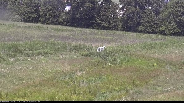 Cell 2 to 3_24-06-14_12-46-04-44