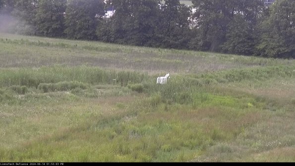 Cell 2 to 3_24-06-14_13-53-03-47