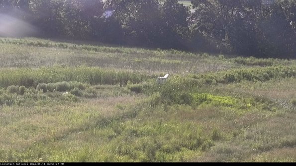 Cell 2 to 3_24-06-14_18-54-27-47