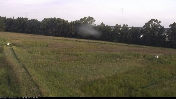 Cell 2_24-06-14_07-10-54-35