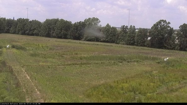 Cell 2_24-06-14_13-19-21-34