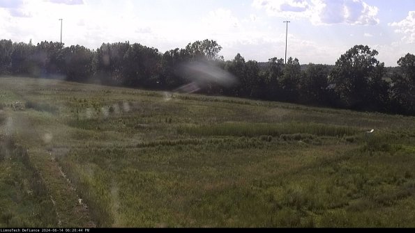 Cell 2_24-06-14_18-20-45-34