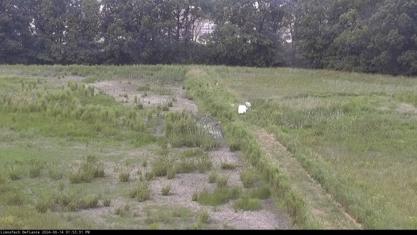 Cell 3 to 4_24-06-14_13-53-32-33