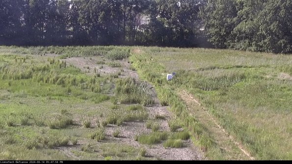 Cell 3 to 4_24-06-14_17-47-57-33