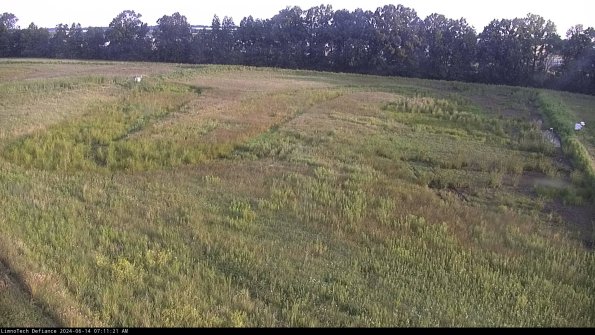 Cell 3_24-06-14_07-11-22-31