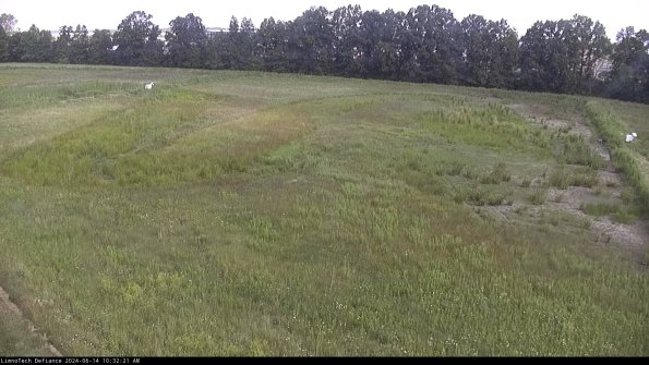 Cell 3_24-06-14_10-32-22-34