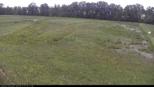 Cell 3_24-06-14_13-53-18-35