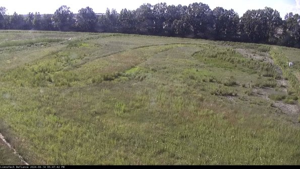 Cell 3_24-06-14_17-47-43-31