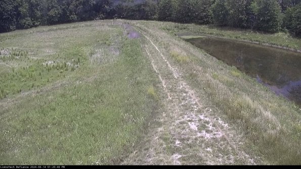 Cell 4 to Basin_24-06-14_13-20-47-33