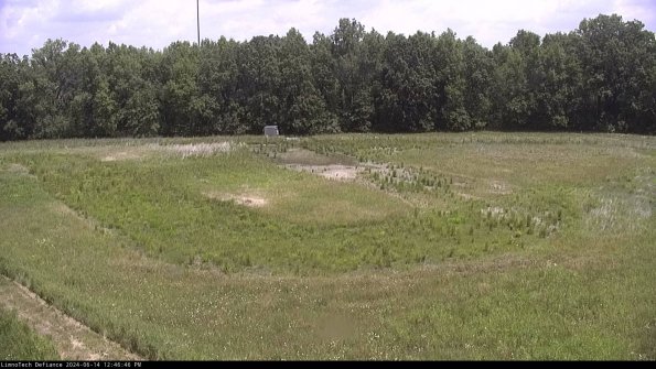 Cell 4_24-06-14_12-46-47-31