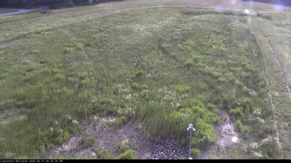 Cell 1_24-06-15_18-20-31-34