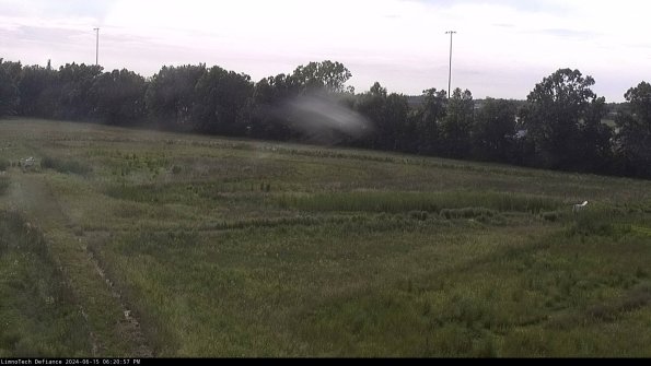 Cell 2_24-06-15_18-20-58-37