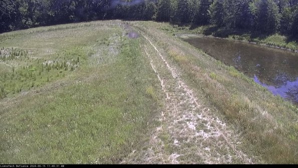 Cell 4 to Basin_24-06-15_11-40-32-33