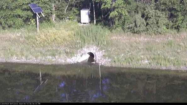 Basin Inflow_24-06-16_18-56-37-54