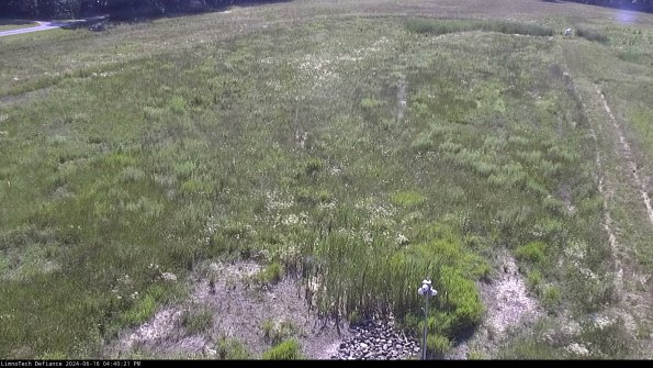 Cell 1_24-06-16_16-40-22-34