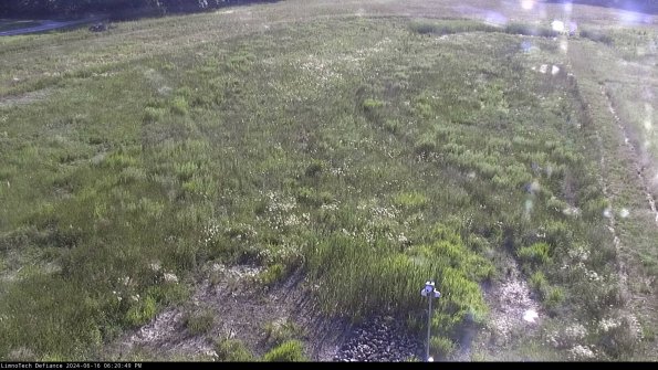 Cell 1_24-06-16_18-20-50-35