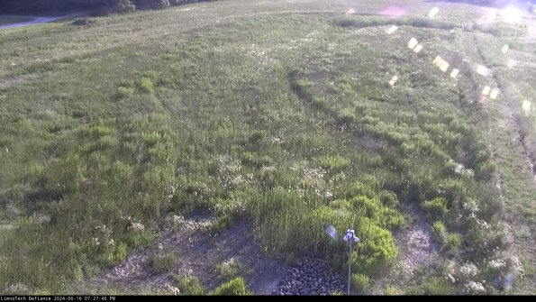 Cell 1_24-06-16_19-27-47-35