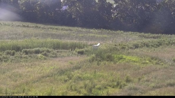 Cell 2 to 3_24-06-16_18-21-30-53