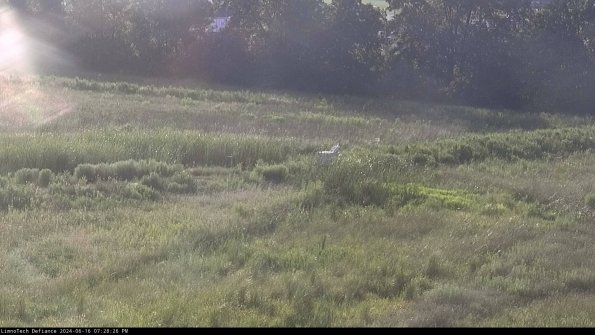 Cell 2 to 3_24-06-16_19-28-27-39