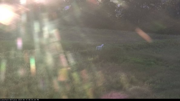 Cell 2 to 3_24-06-16_20-35-26-49