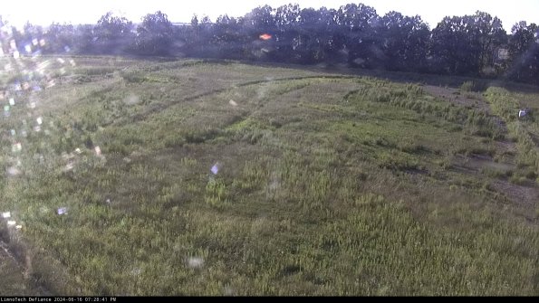 Cell 3_24-06-16_19-28-41-60