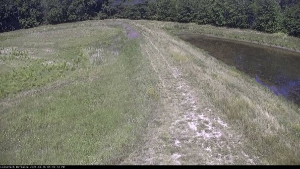 Cell 4 to Basin_24-06-16_15-35-15-35