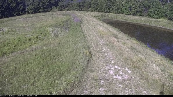 Cell 4 to Basin_24-06-16_17-49-14-38