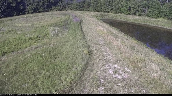 Cell 4 to Basin_24-06-16_18-22-43-33