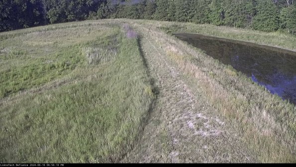 Cell 4 to Basin_24-06-16_18-56-11-38